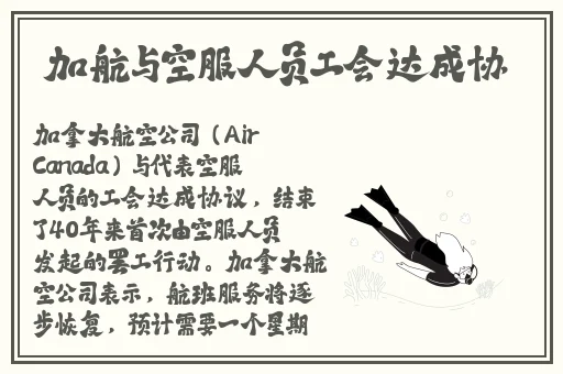青青青爽在线视频观看